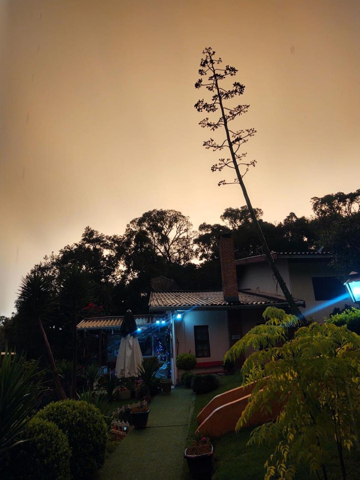 מלון Campos do Jordão Rancho Da Raposa מראה חיצוני תמונה
