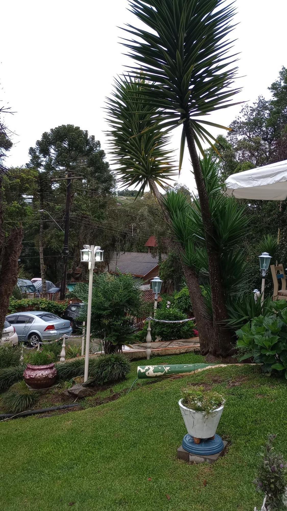 מלון Campos do Jordão Rancho Da Raposa מראה חיצוני תמונה